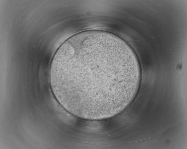 X0000112141338200908281308