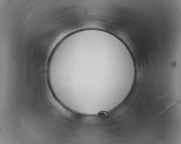 X0000112141339200908281308