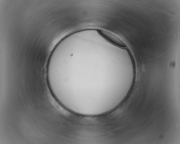 X0000112141341200908281308