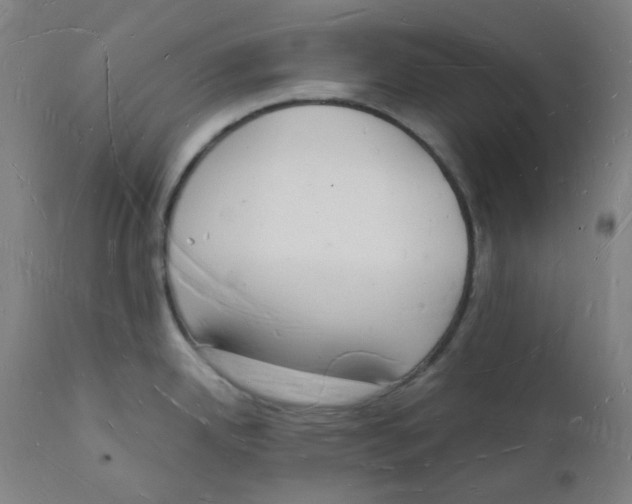 X0000112141342200908281308