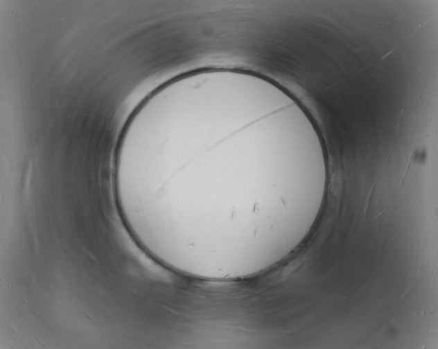 X0000112141343200908281308