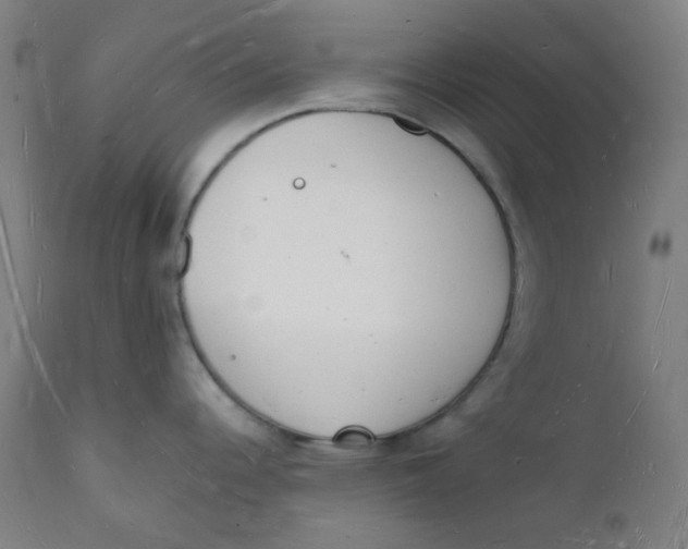 X0000112141344200908281308