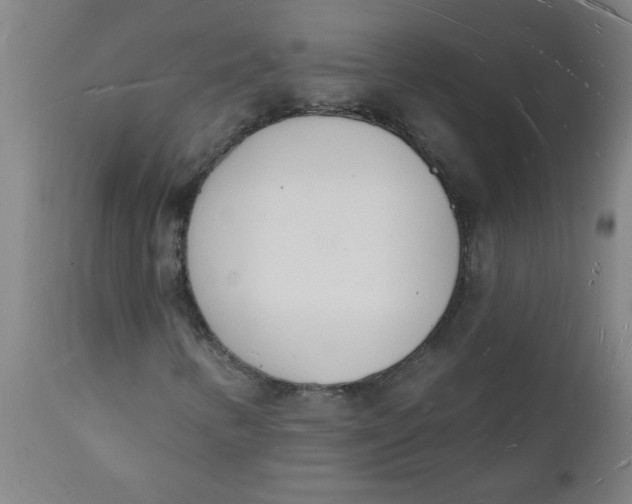 X0000112141346200908281307