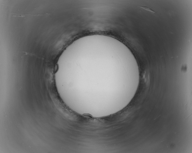 X0000112141348200908281307