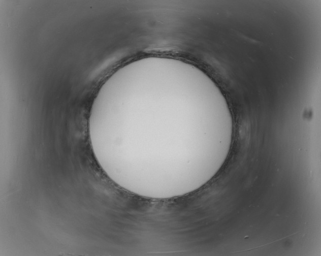 X0000112141350200908281307