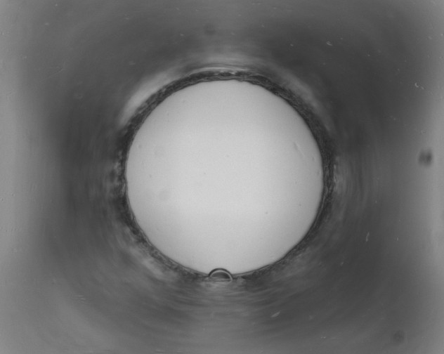 X0000112141352200908281307