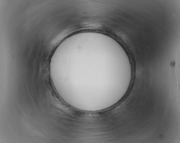 X0000112141354200908281307