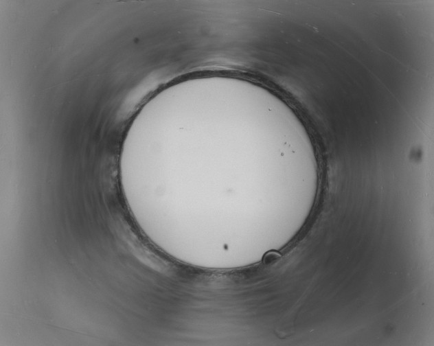 X0000112141355200908281307