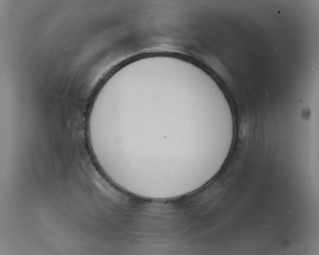 X0000112141356200908281307