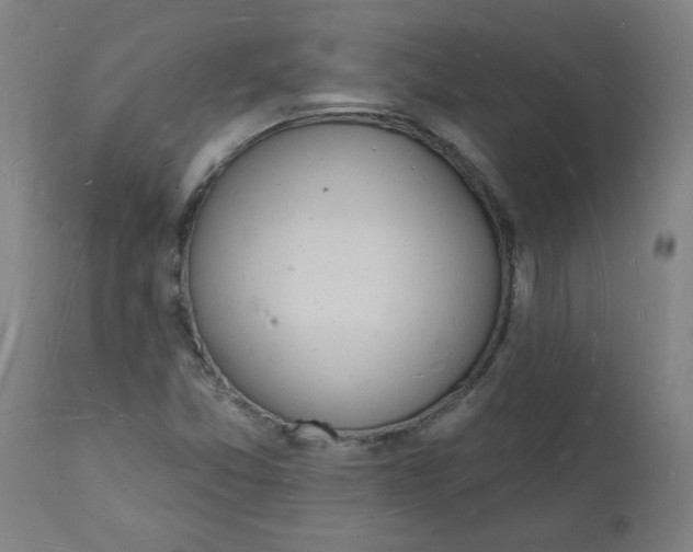 X0000112141357200908281307