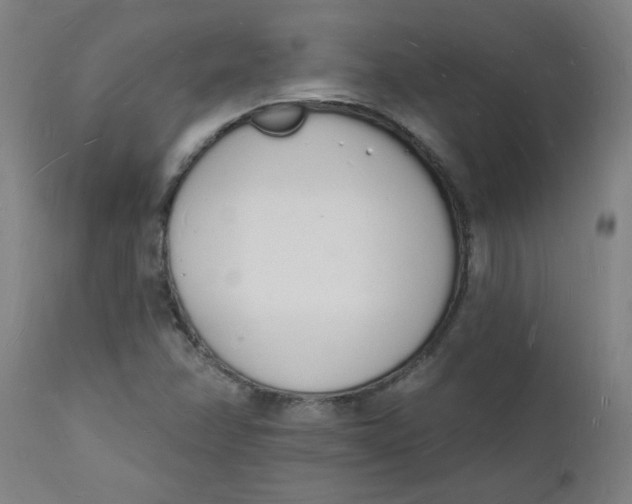 X0000112141358200908281307