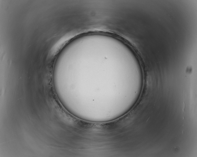 X0000112141359200908281307