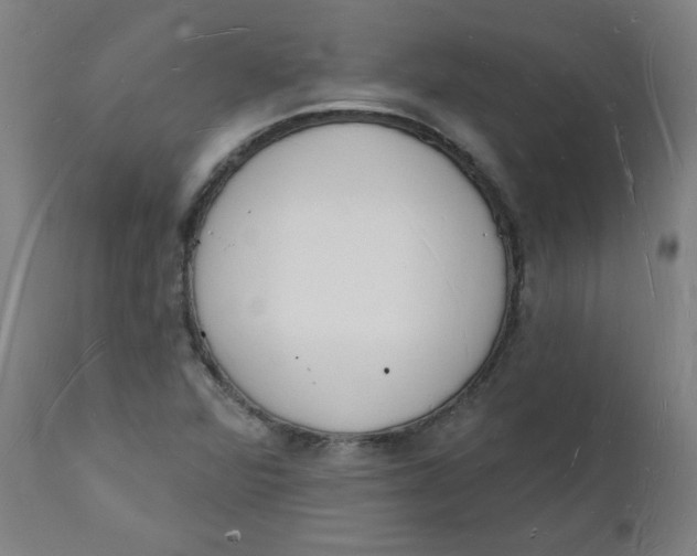 X0000112141360200908281307