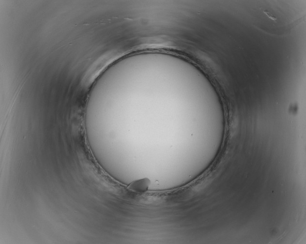 X0000112141361200908281307