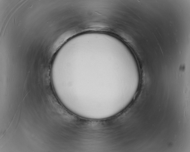 X0000112141362200908281307