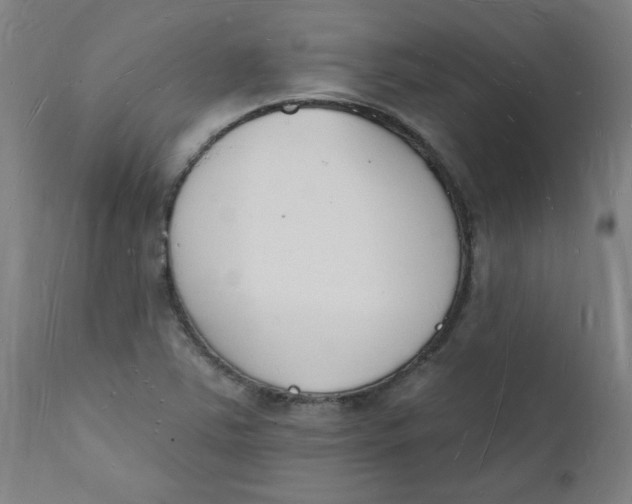 X0000112141363200908281307