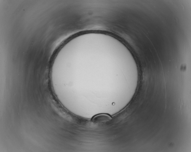 X0000112141364200908281307