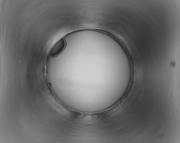 X0000112141365200908281307