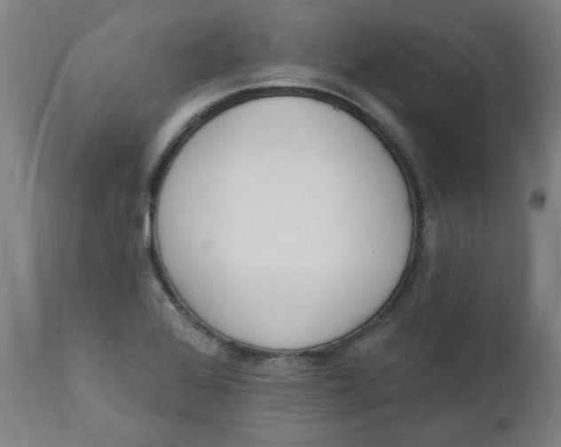 X0000112141368200908281307