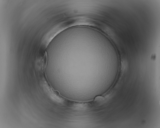 X0000112141369200908281307