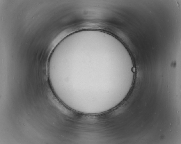 X0000112141370200908281307