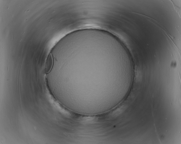 X0000112141373200908281307