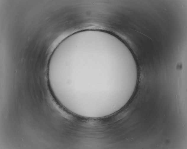 X0000112141375200908281307