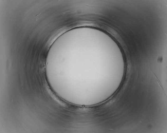 X0000112141377200908281307