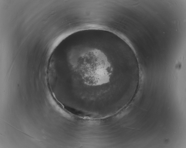 X0000112141381200908281307