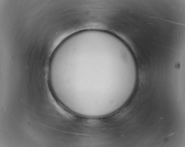 X0000112141383200908281307