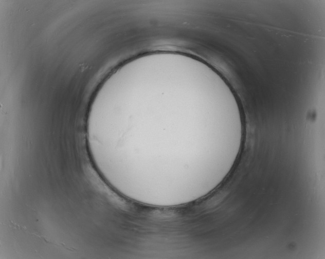 X0000112141384200908281307