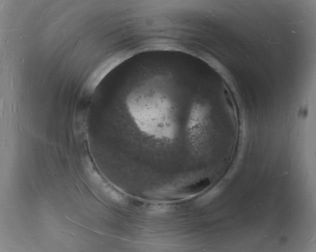 X0000112141385200908281307