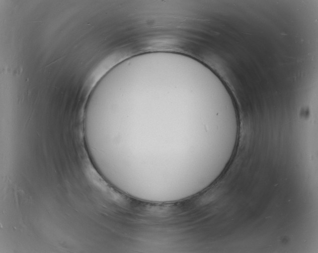 X0000112141386200908281307