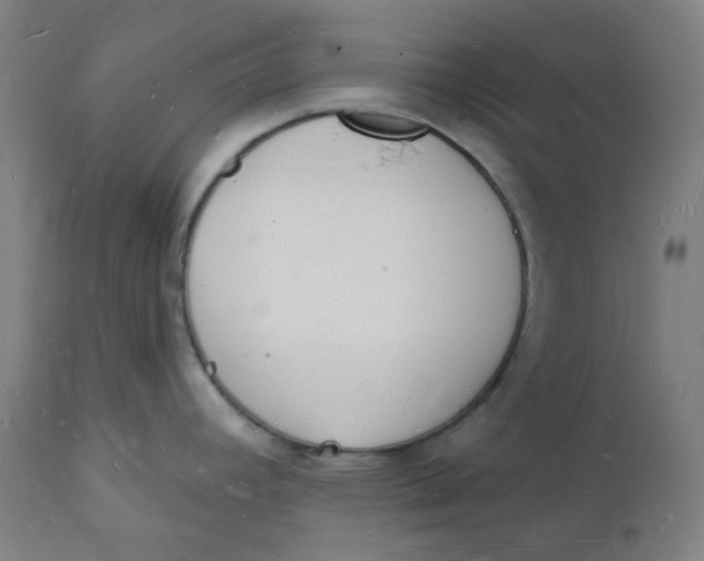 X0000112141392200908281307