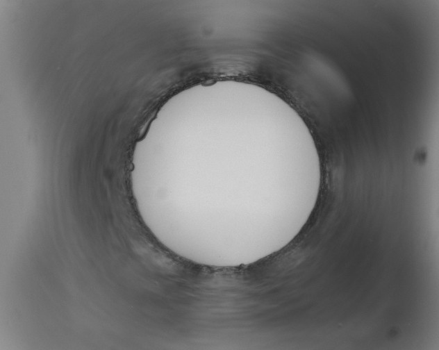 X0000112141393200908281306