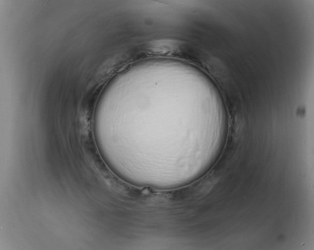 X0000112141394200908281306