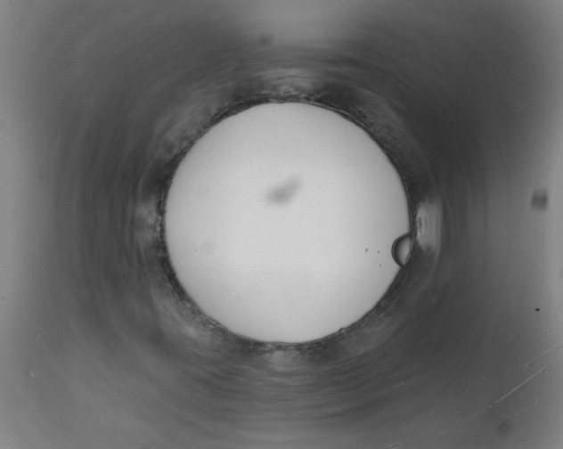 X0000112141395200908281306