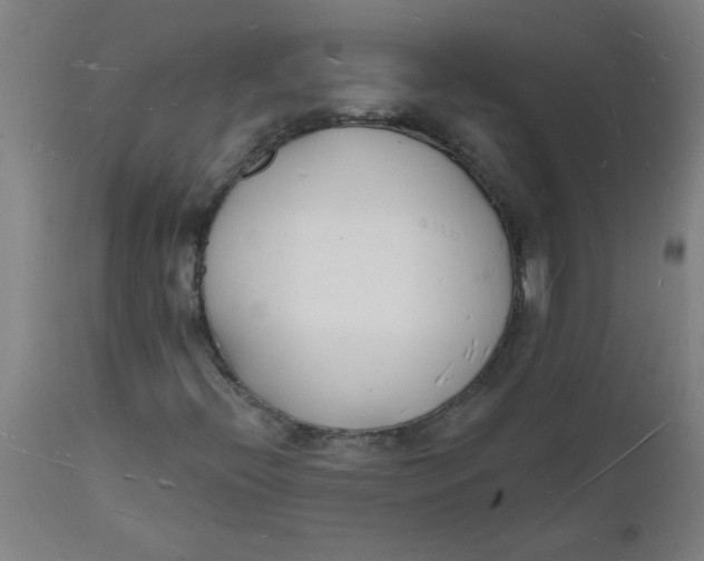 X0000112141396200908281306