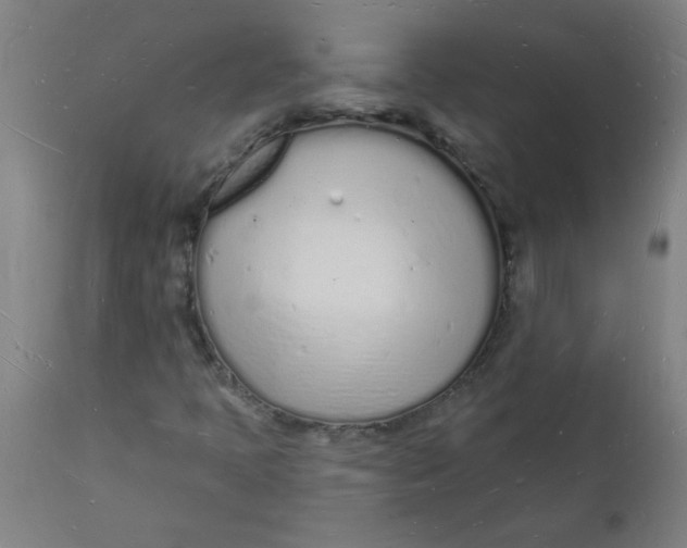 X0000112141397200908281306