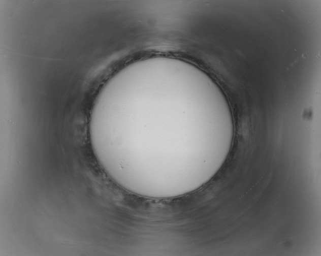 X0000112141398200908281306