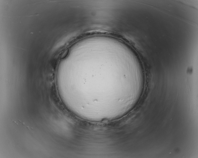 X0000112141399200908281306