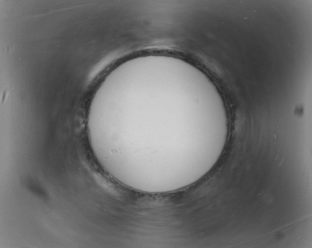 X0000112141400200908281306