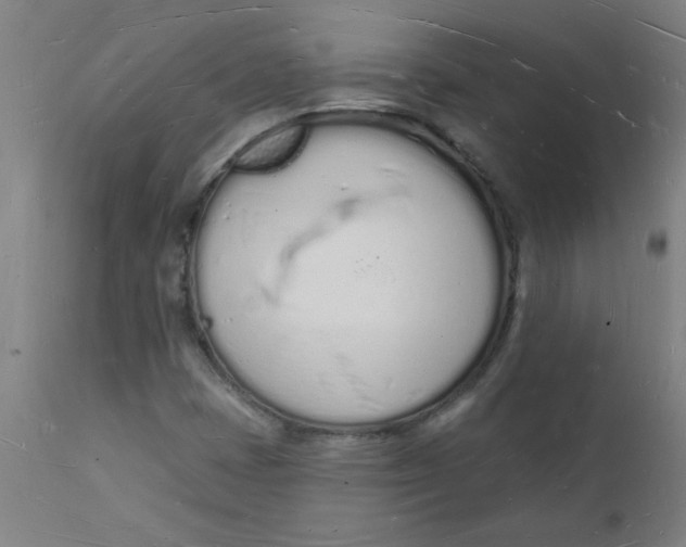 X0000112141401200908281306