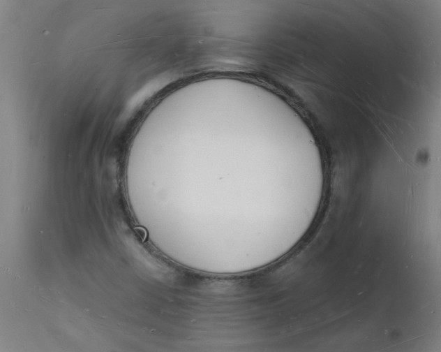 X0000112141402200908281306