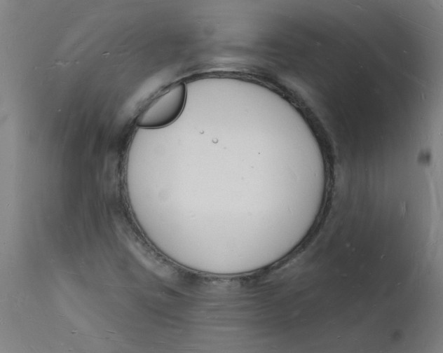 X0000112141403200908281306