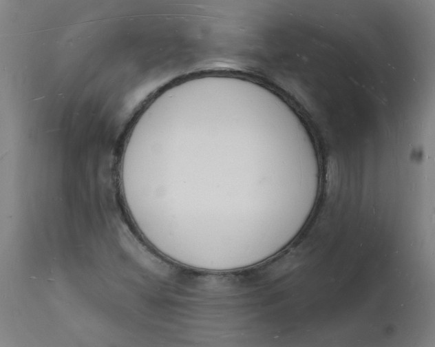 X0000112141404200908281306