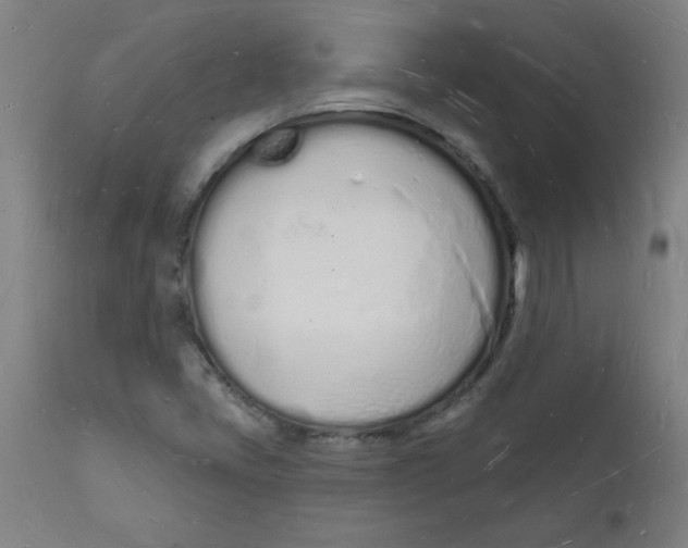 X0000112141405200908281306