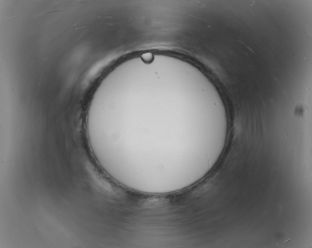 X0000112141406200908281306