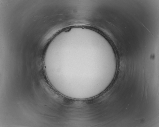 X0000112141407200908281306