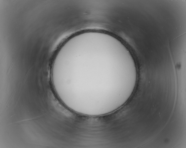 X0000112141408200908281306